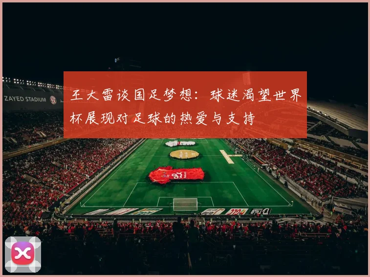 王大雷谈国足梦想：球迷渴望世界杯展现对足球的热爱与支持