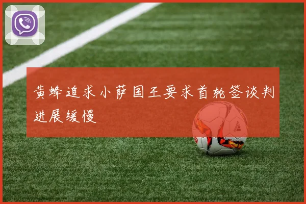 黄蜂追求小萨国王要求首轮签谈判进展缓慢